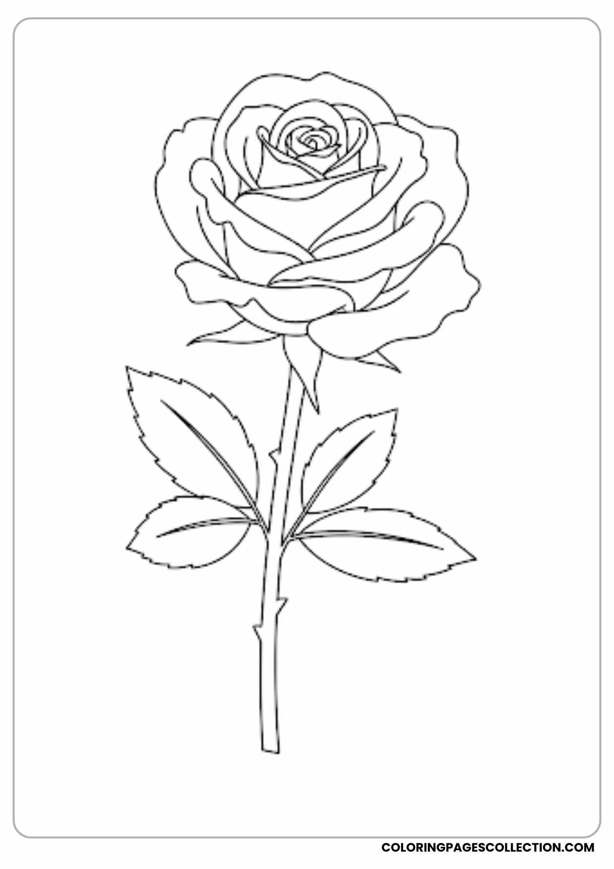 cartoon rose with bee coloring page