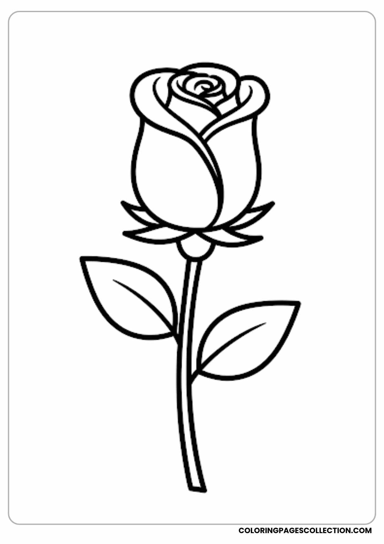 rose with stars coloring page