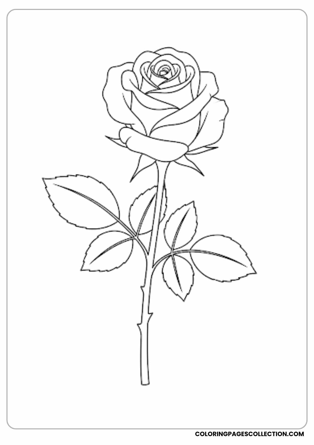 smiling rosebud coloring page