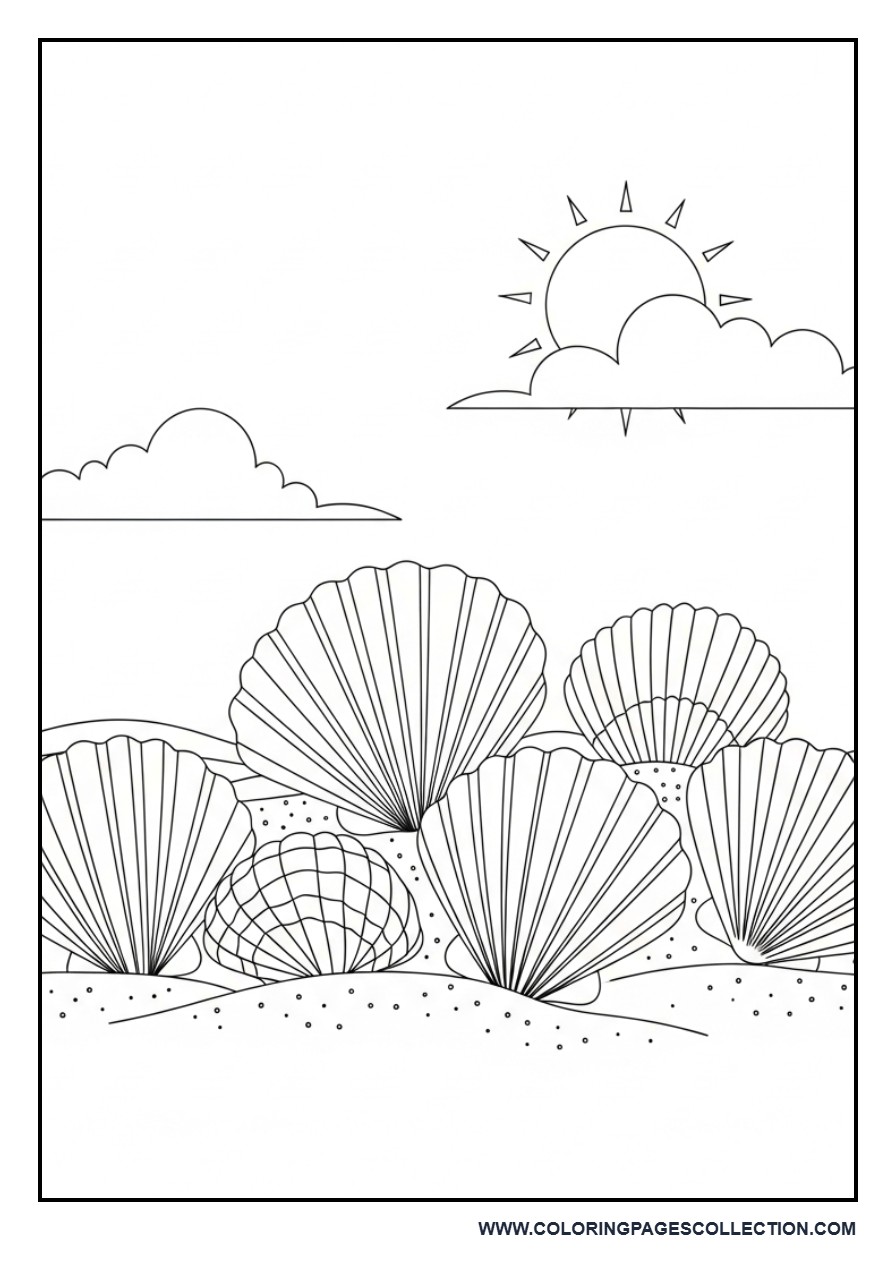 Seashell Collection Scene