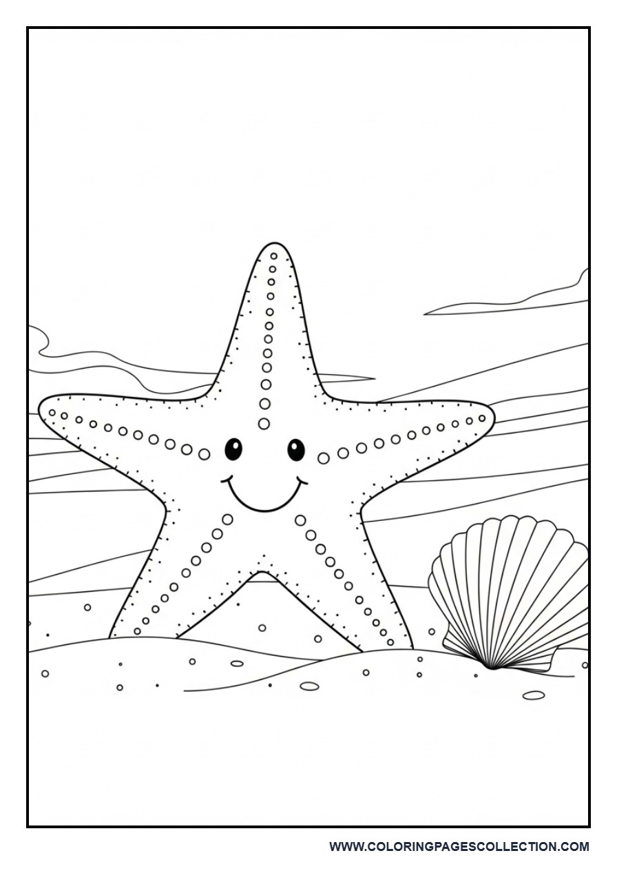 Starfish by the Shore