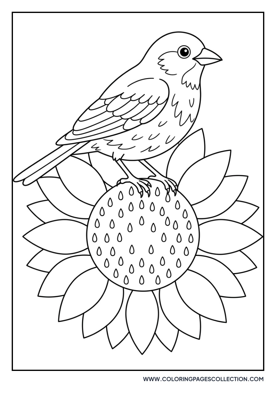 Bird Sitting on a Sunflower