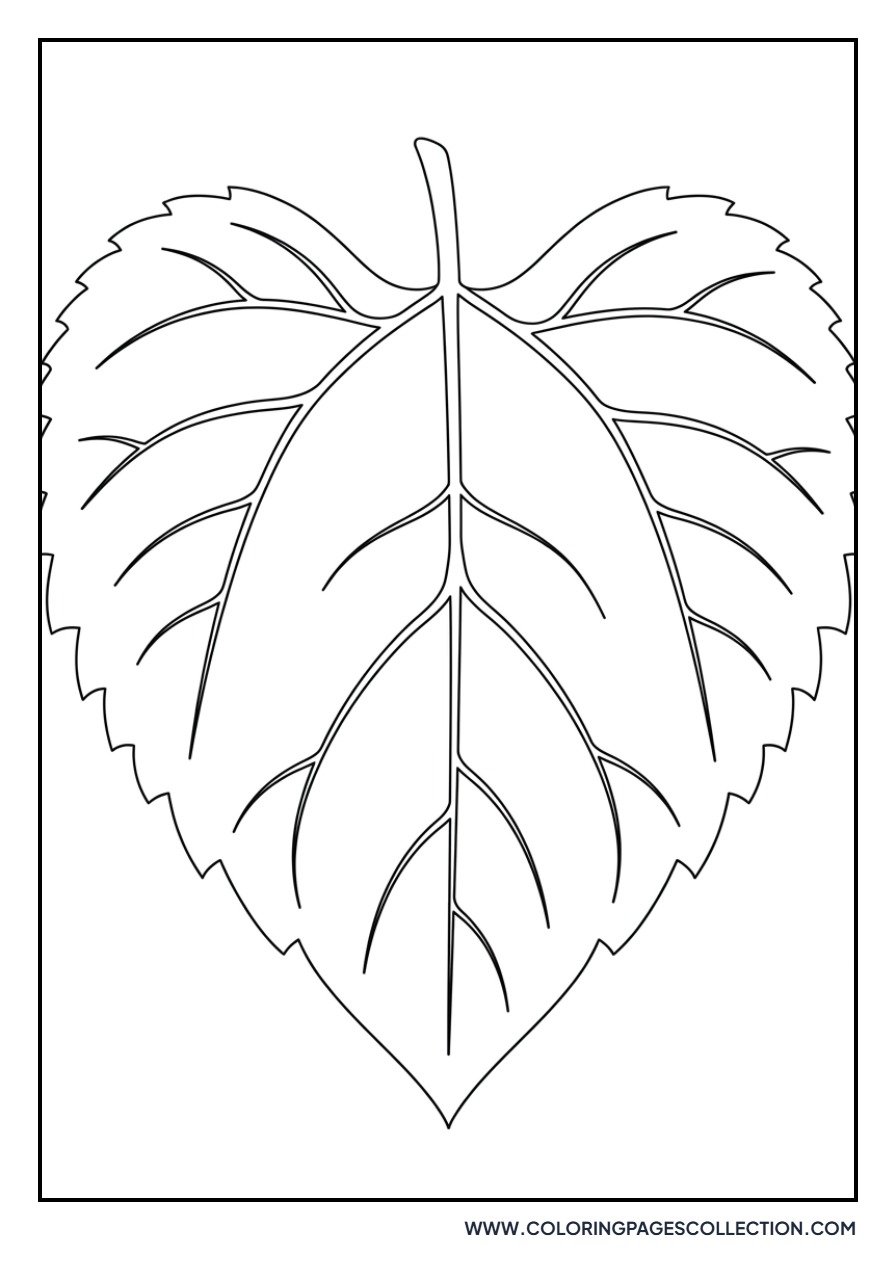 Giant Sunflower Leaf