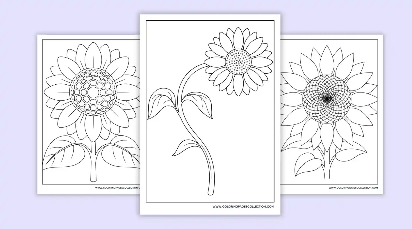 Sunflower Coloring Pages coloring pages