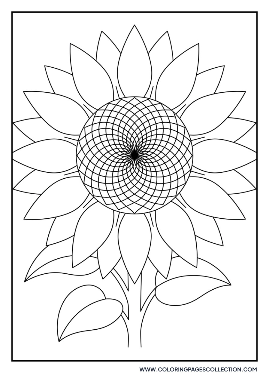 Realistic Botanical Sunflower