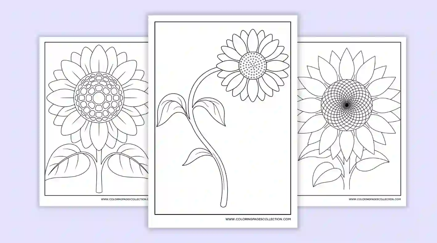 coloringpagescollection.com