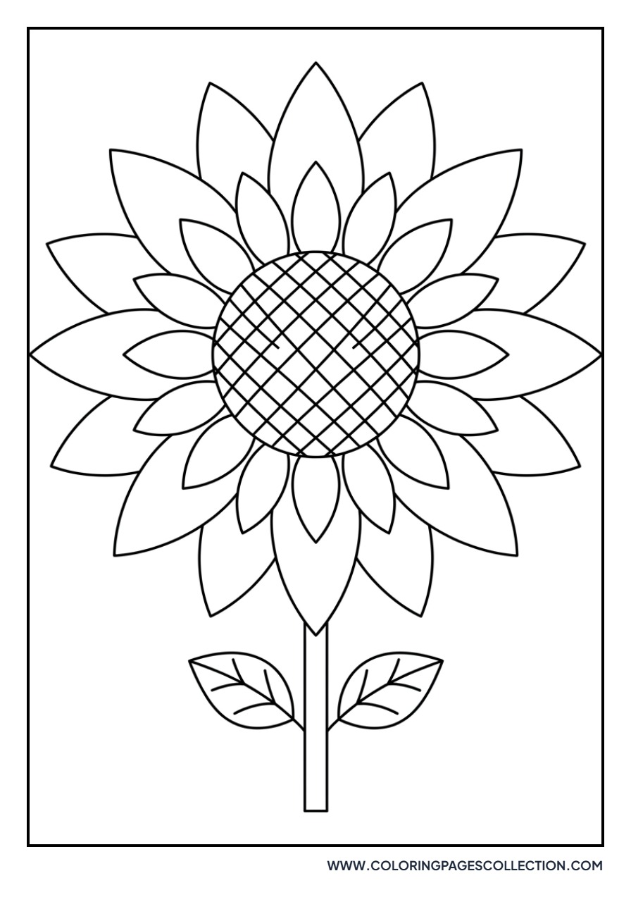 Stylized Symmetrical Sunflower
