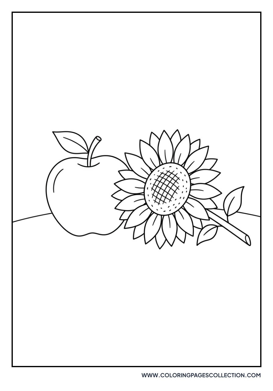 Sunflower and Apple