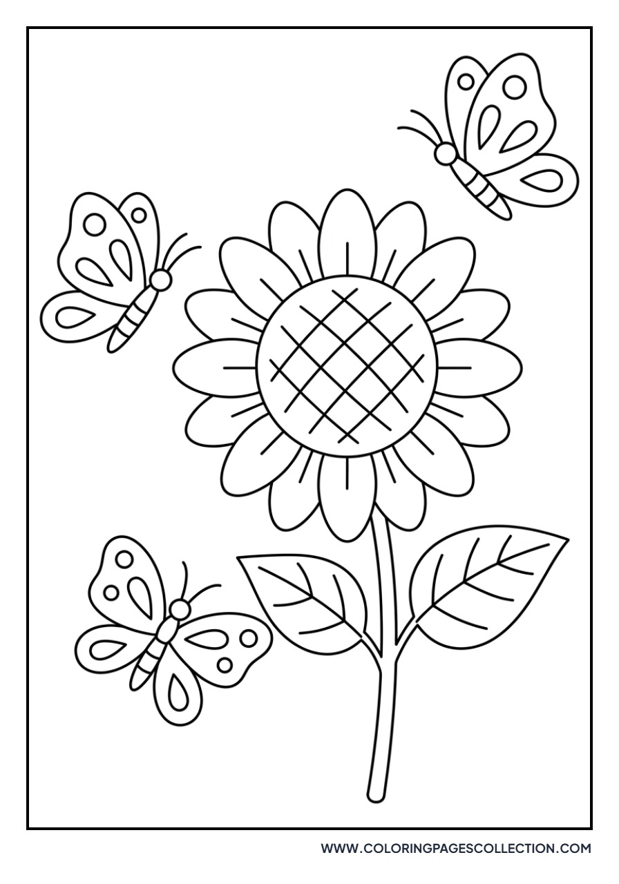 Sunflower and Butterfly Trio