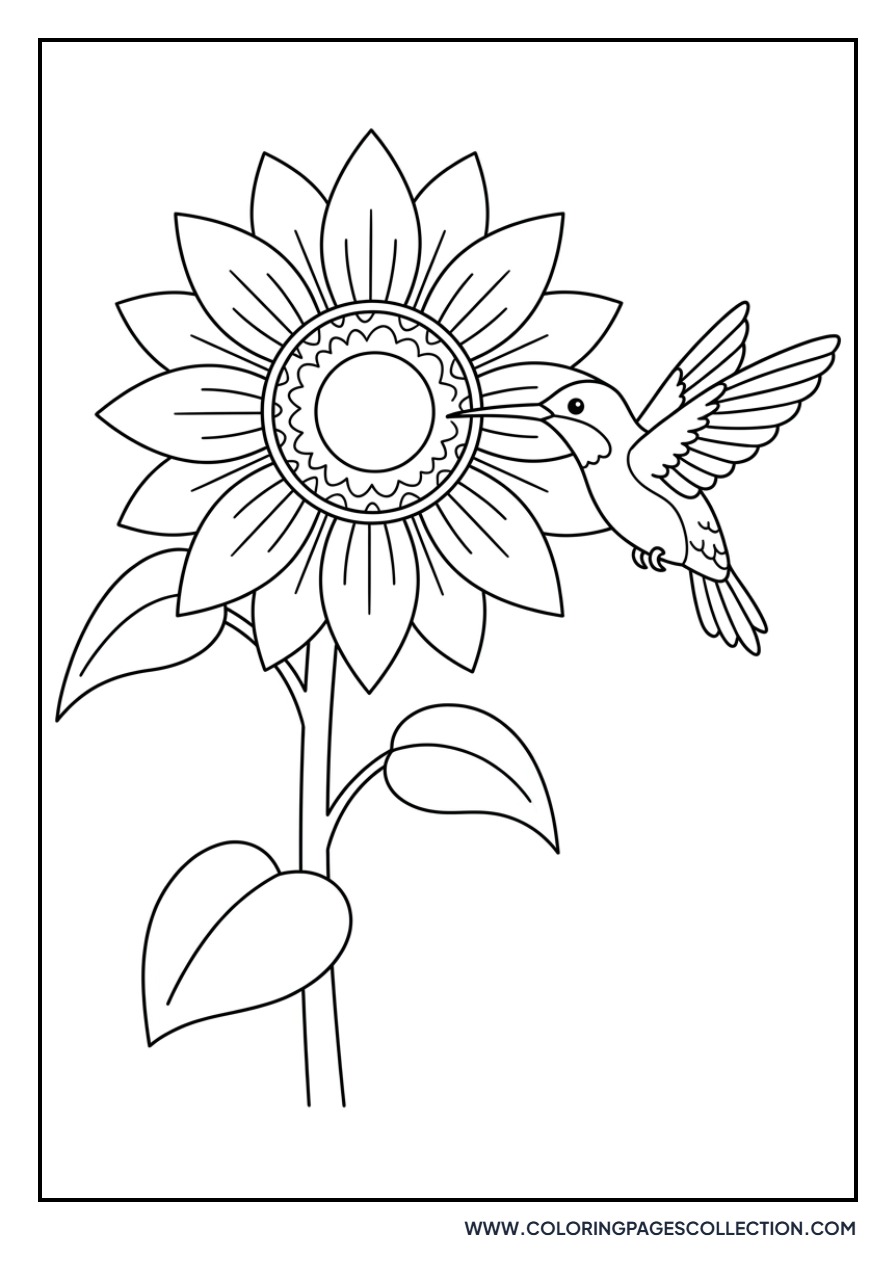 Sunflower and Hummingbird
