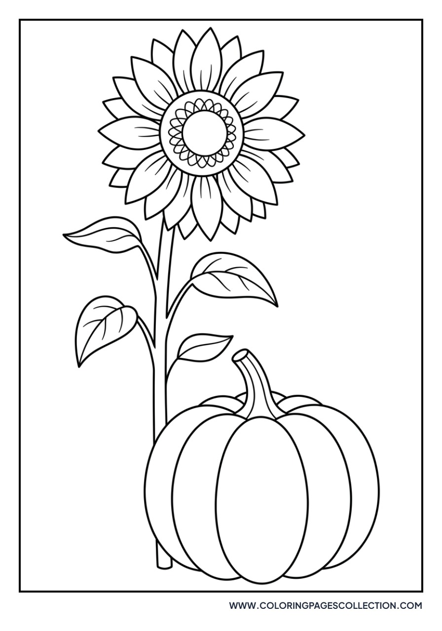 Sunflower and Pumpkin