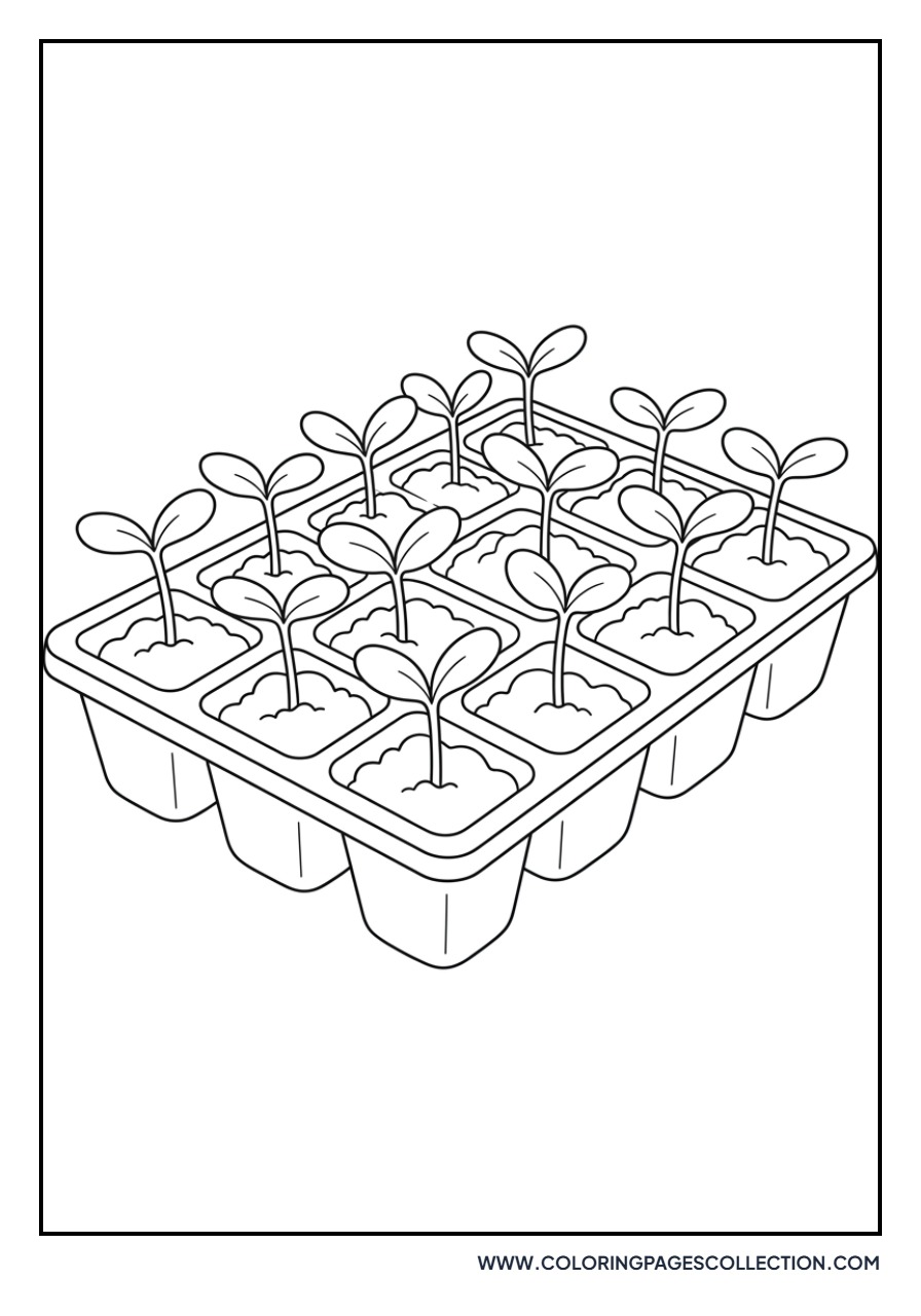 Sunflower and Seed Tray