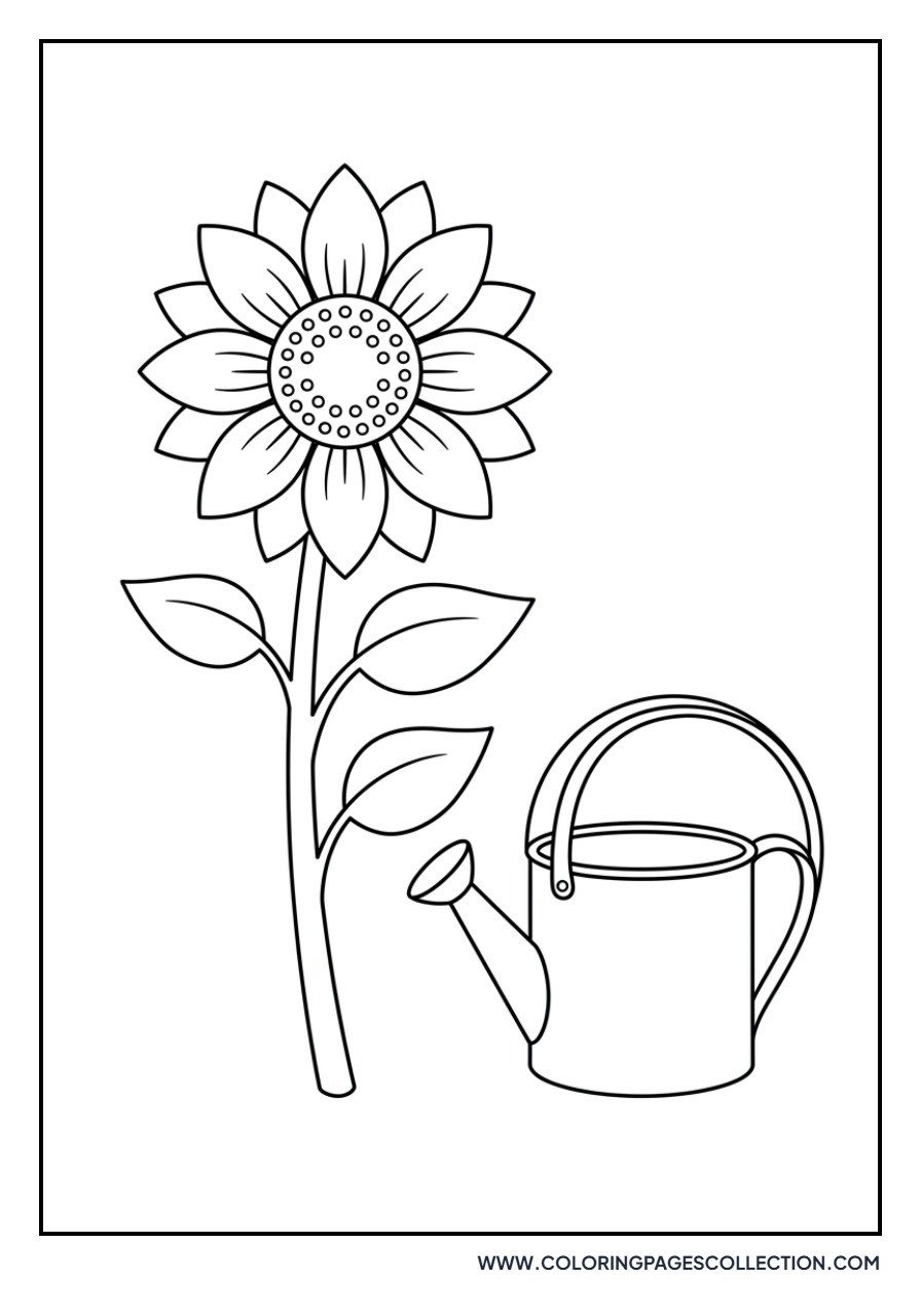 Sunflower and Watering Pail