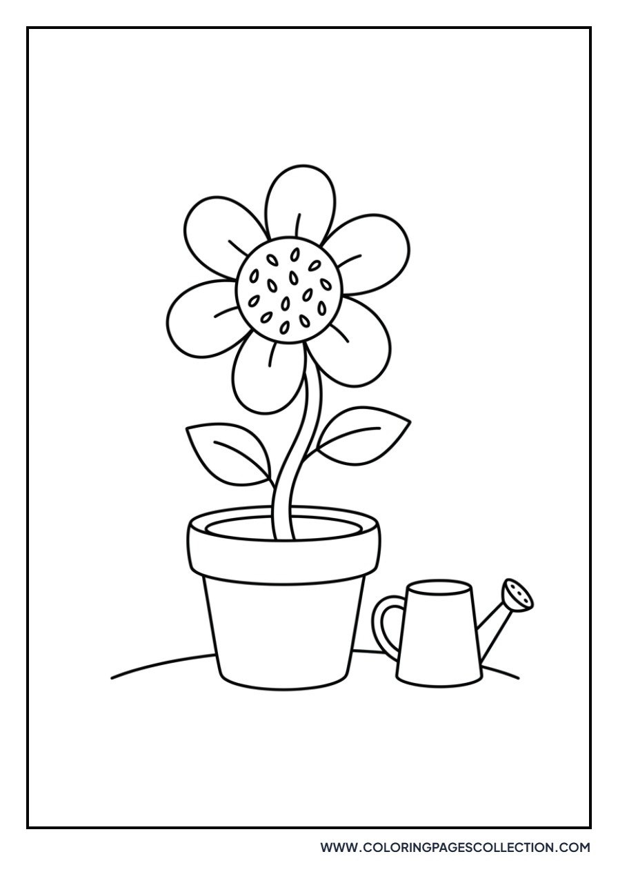 Sunflower and Watering Pot