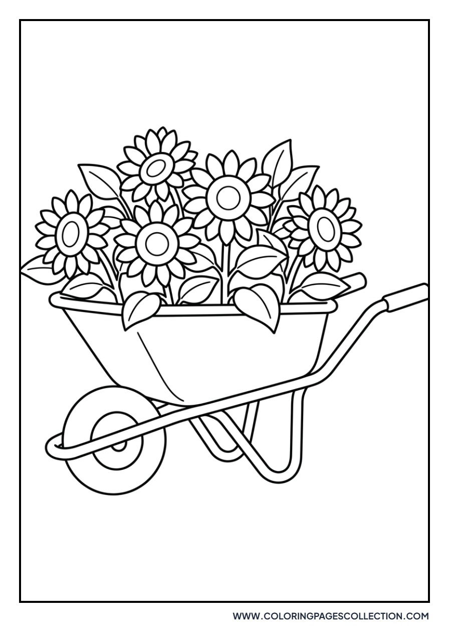 Sunflower in a Wheelbarrow