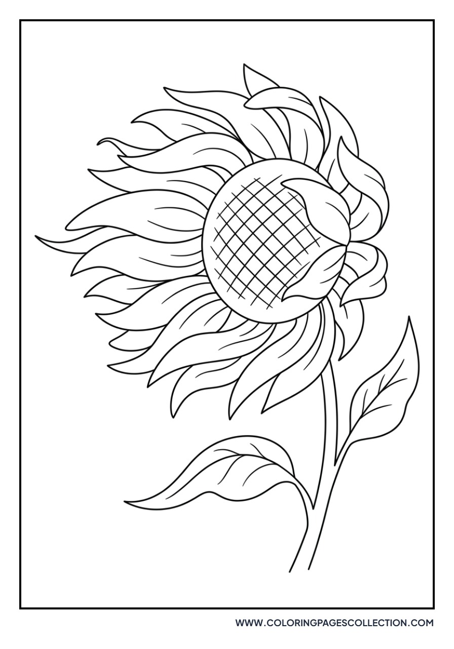 Sunflower in the Wind