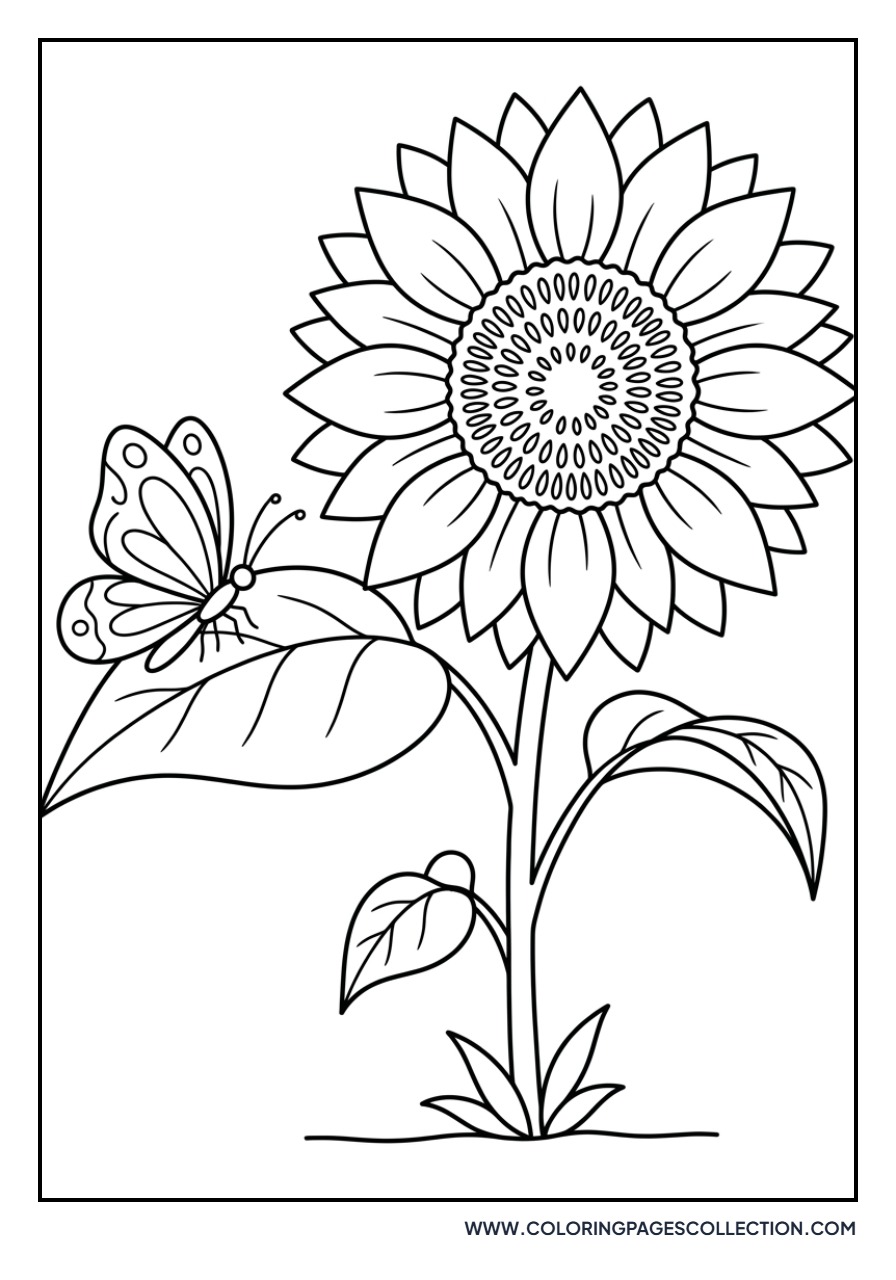 Sunflower with Butterfly Friend