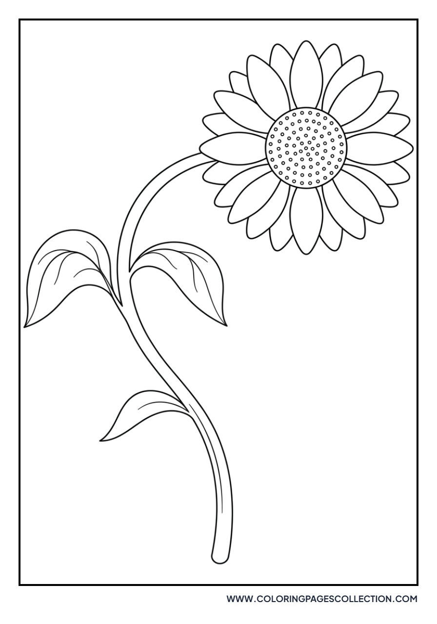 Sunflower with Long Curved Stem
