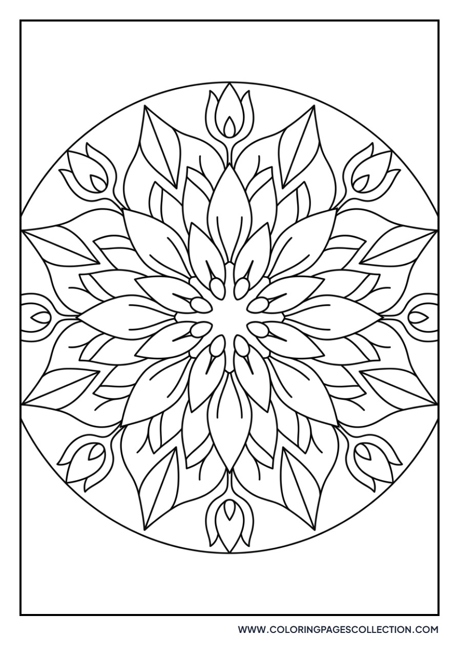Symmetrical Sunflower Kaleidoscope