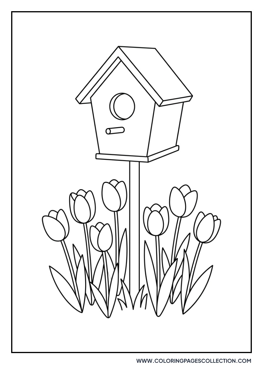 Birdhouse and Tall Tulips