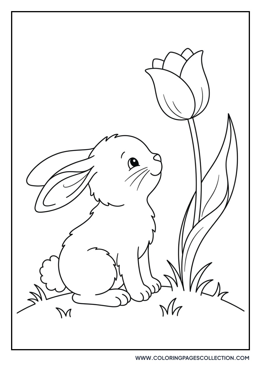 Bunny Rabbit with a Tulip