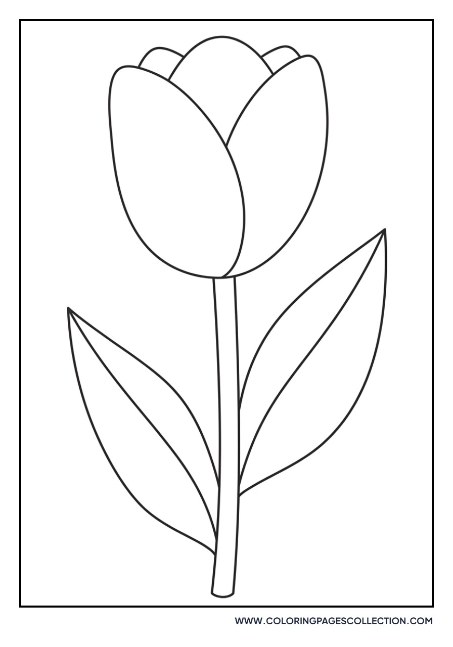 Classic Single Tulip Stem