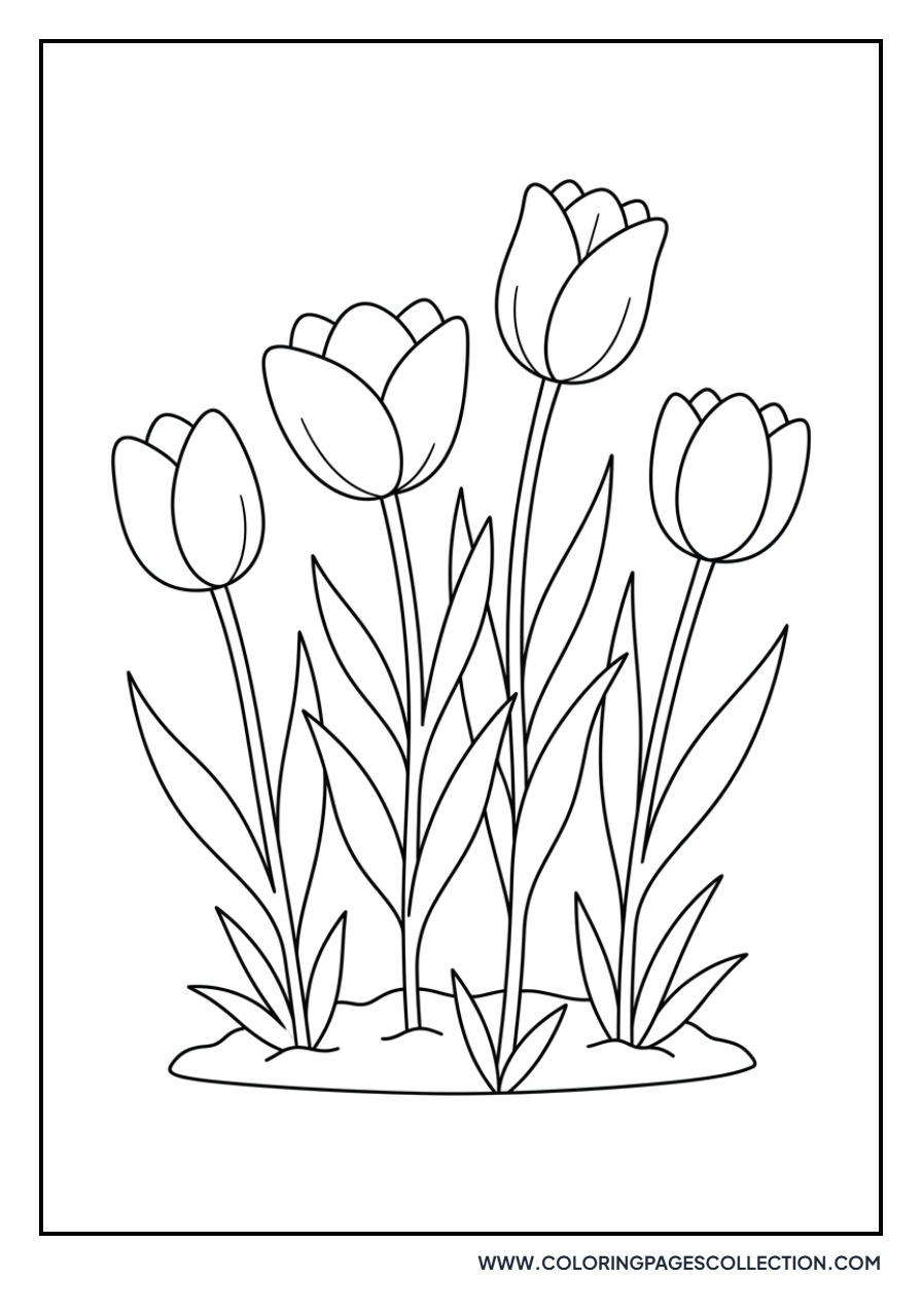 Cluster of Four Tulips
