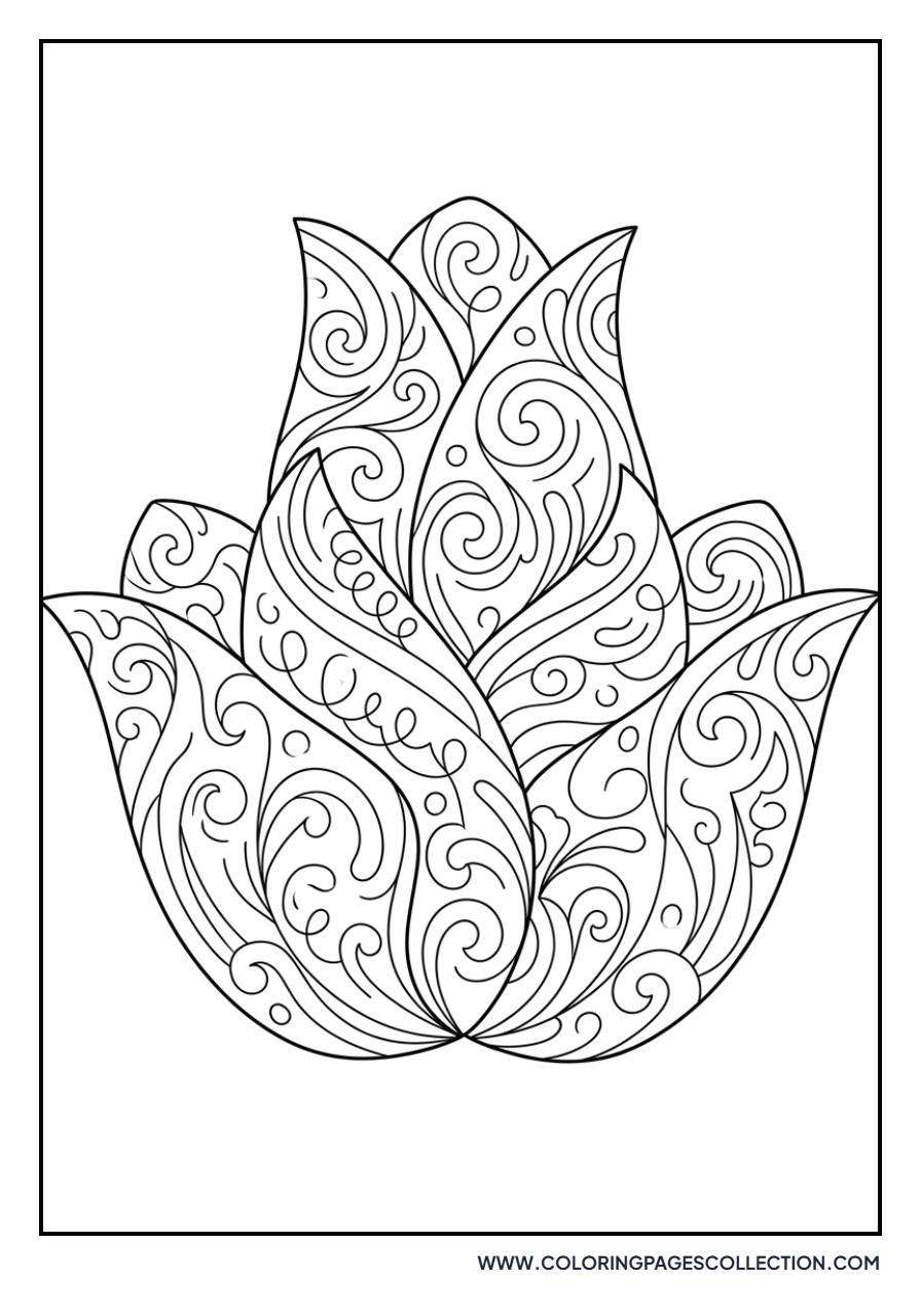 Curvy Tulip Petal Pattern