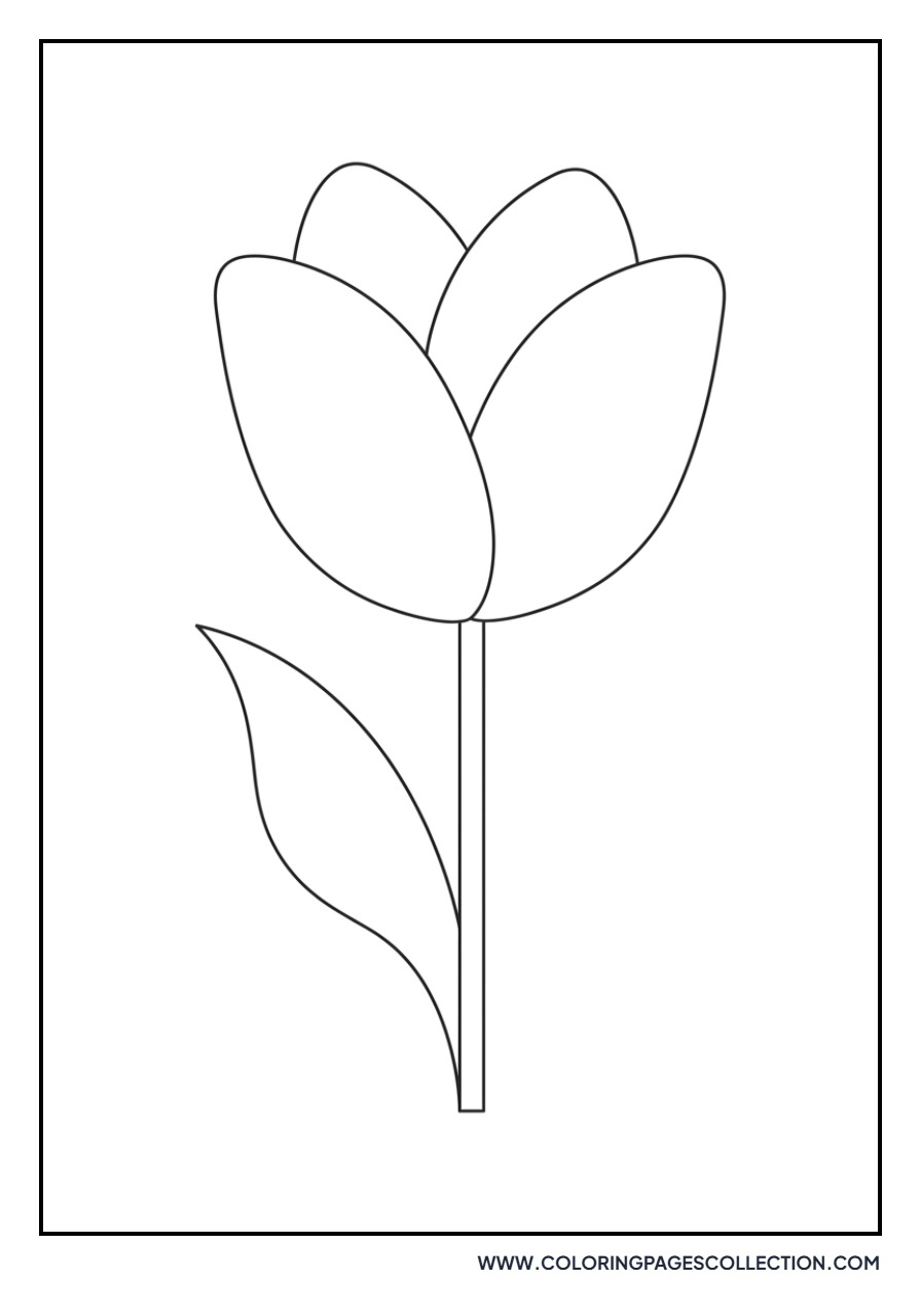 Four Petal Simple Tulip