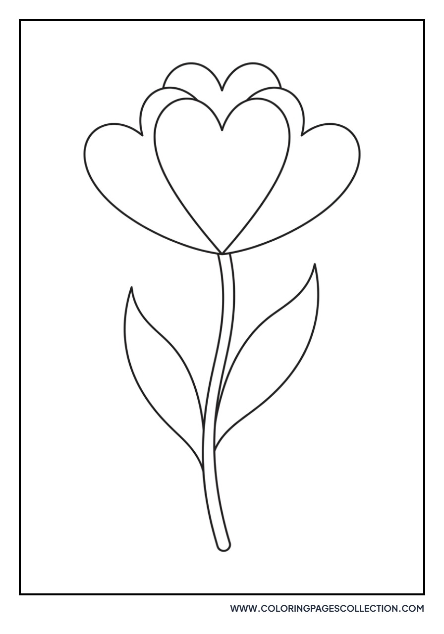 Heart Petal Tulip