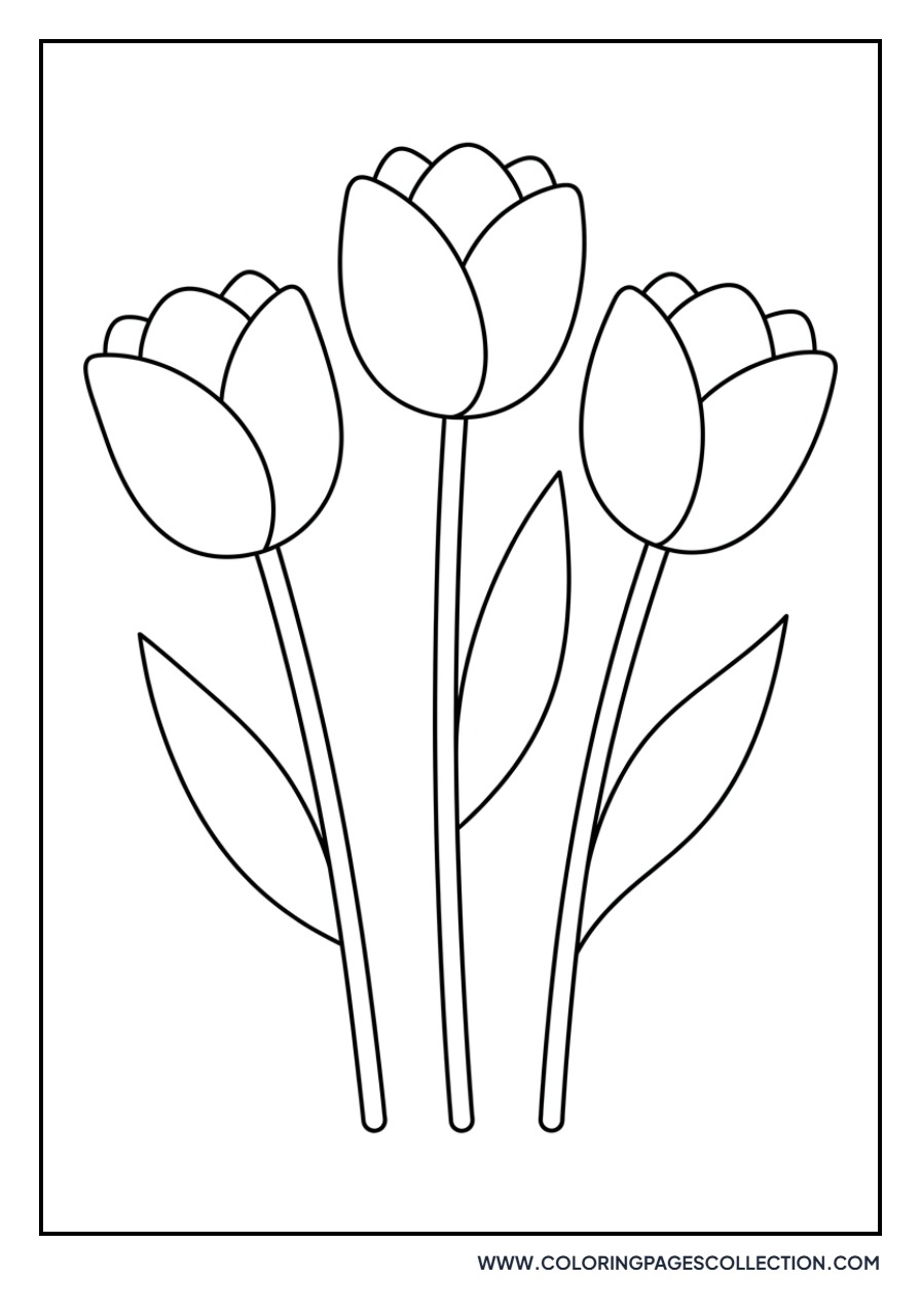 Simple Three-Tulip Cluster