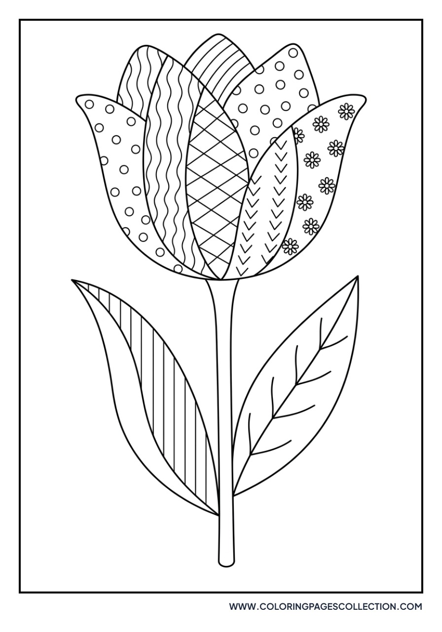 Single Tulip Petal Pattern