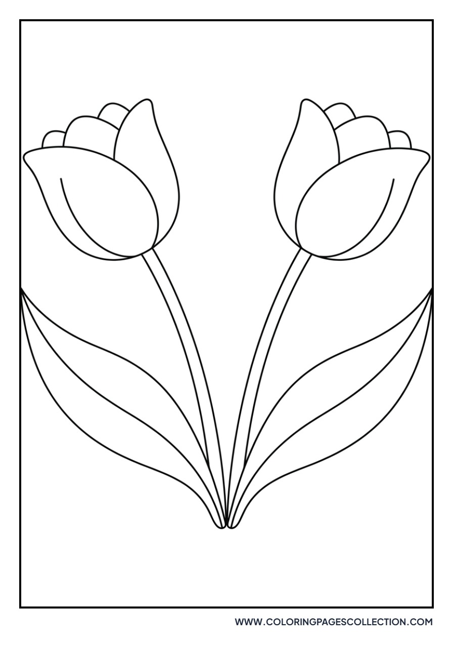 Symmetrical Tulip Pattern