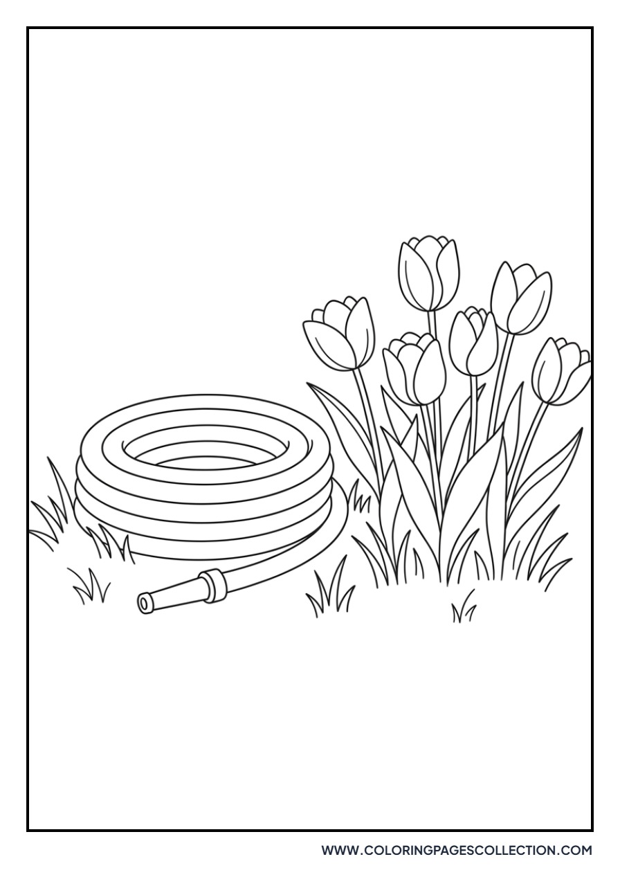 Tulip and a Garden Watering Hose