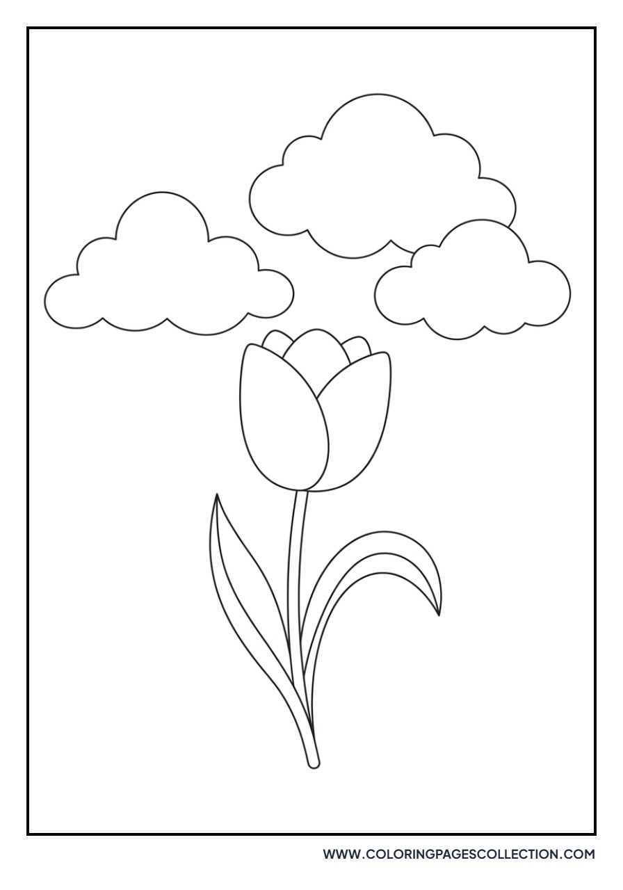 Tulip and Clouds Background