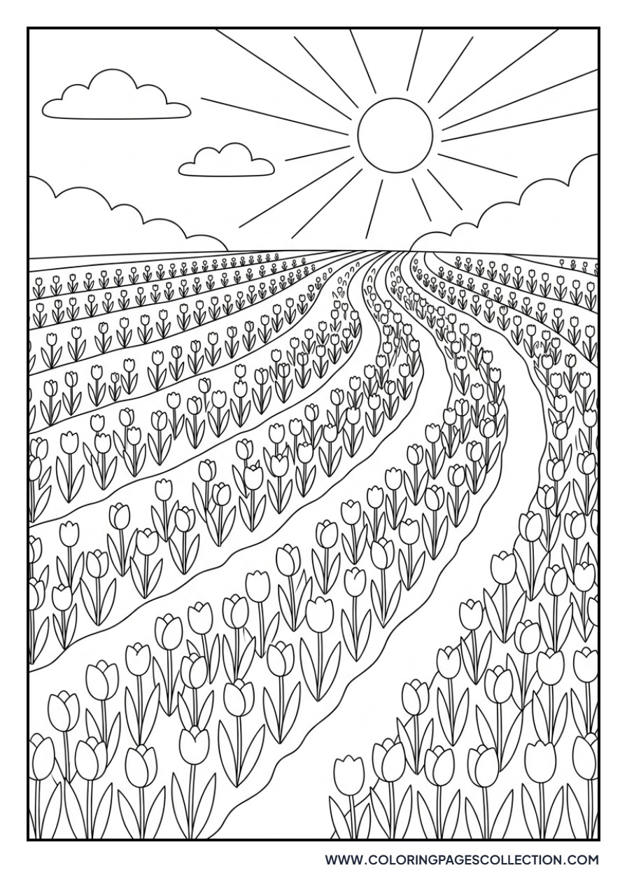 Tulip Field Under a Bright Sun