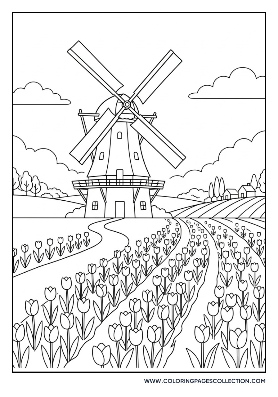 Tulip Field with a Windmill