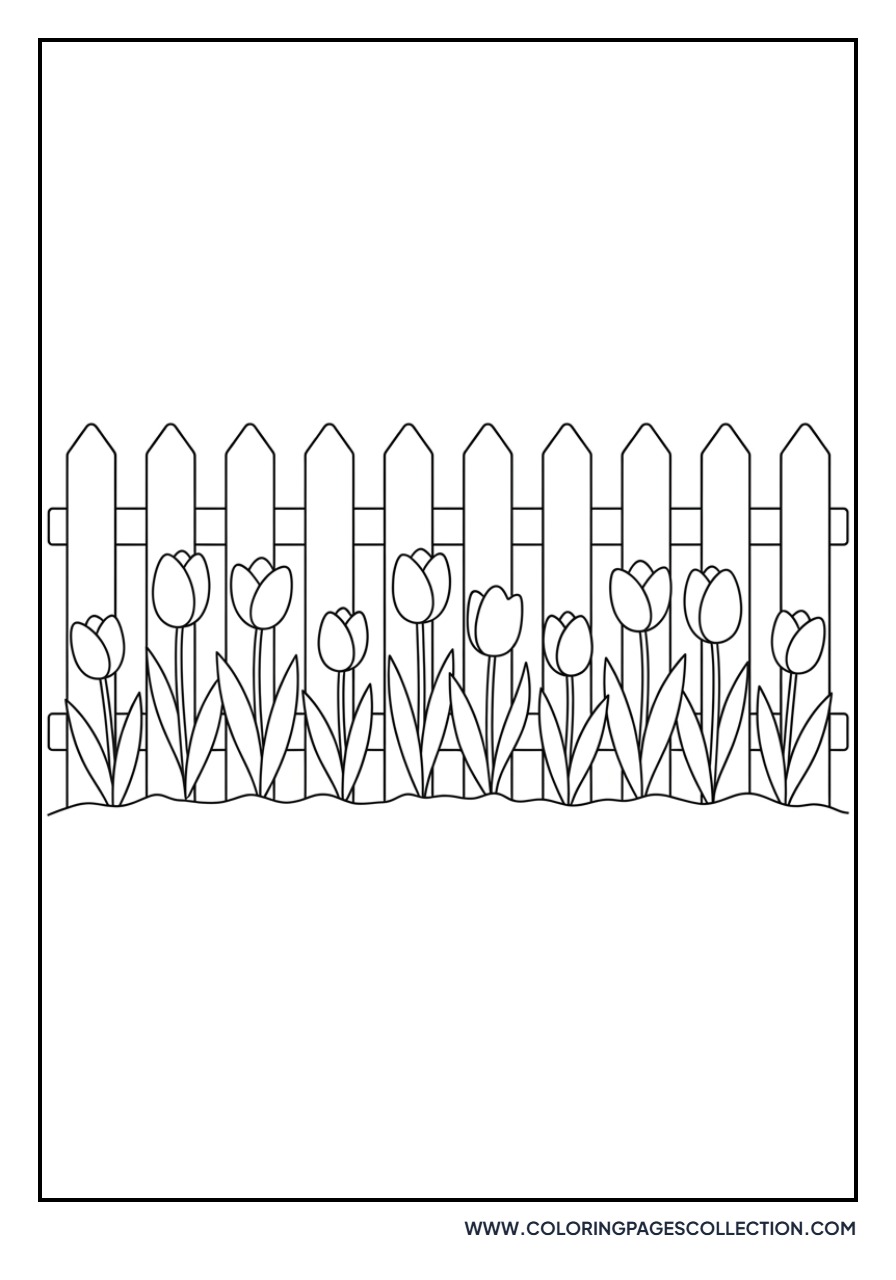 Tulip Garden with a Picket Fence