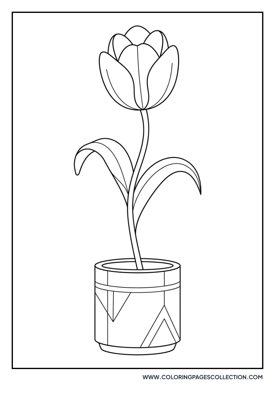 Tulip in a Modern Ceramic Pot