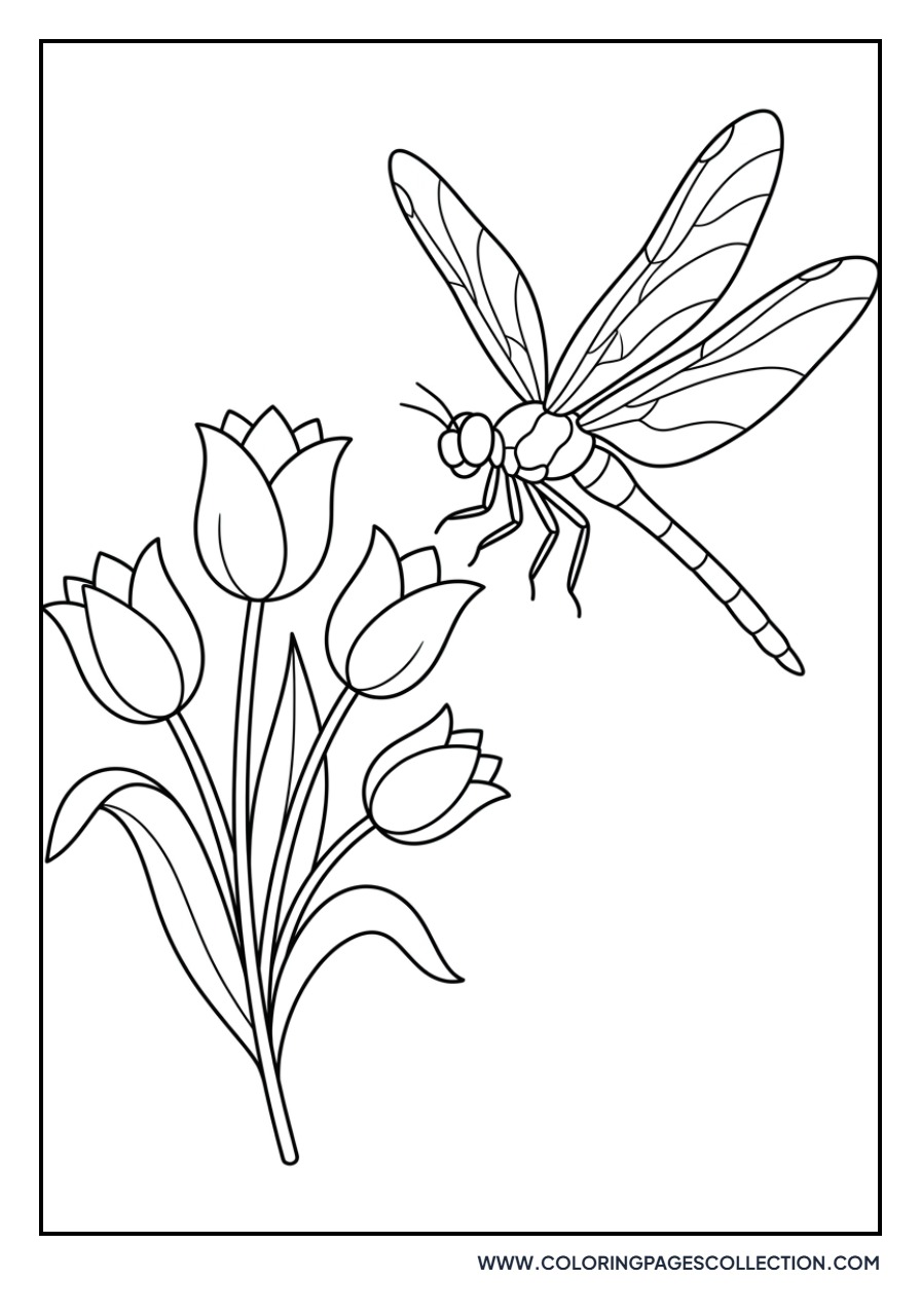 Tulip with a Dragonfly