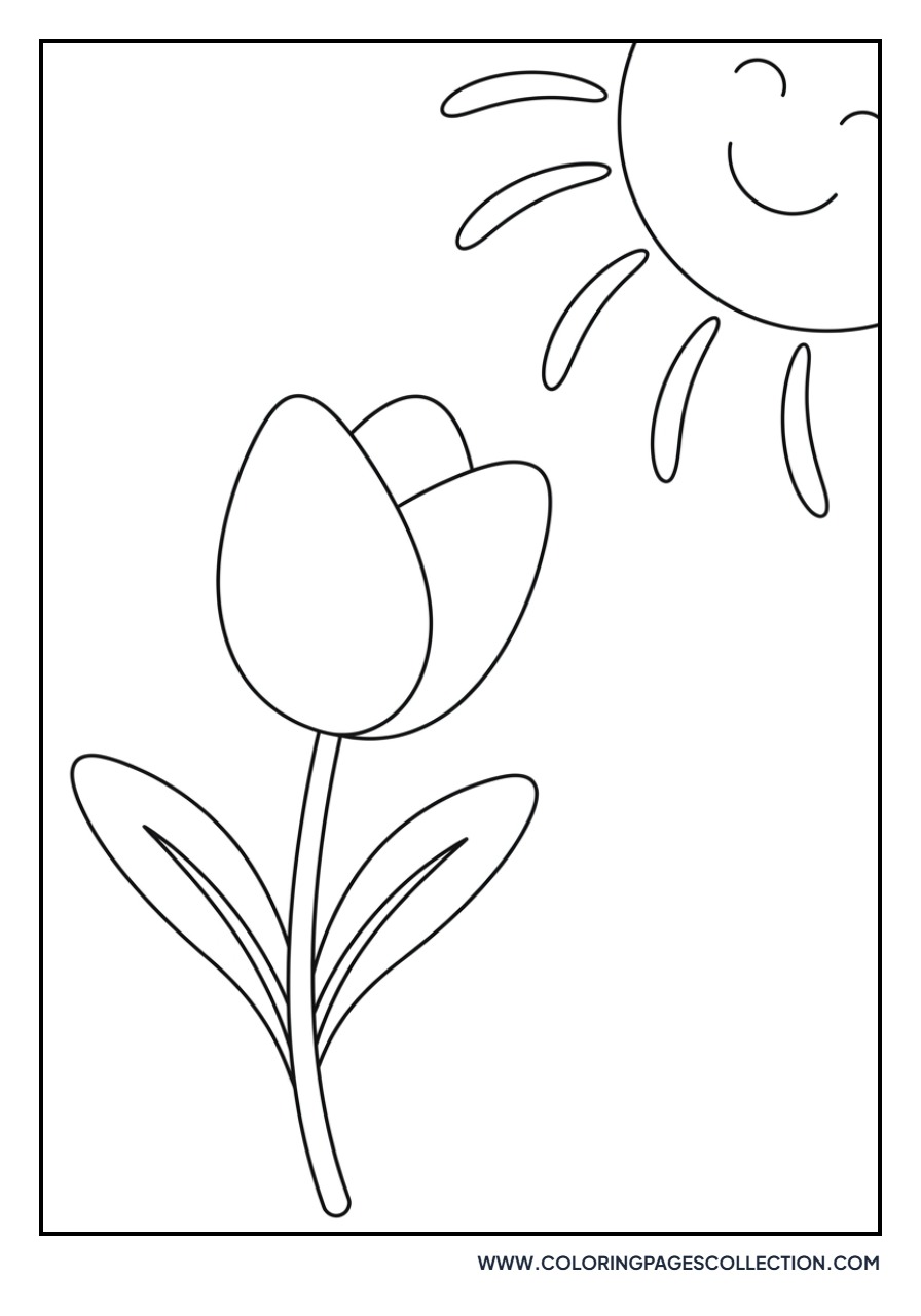 Tulip with a Happy Sun