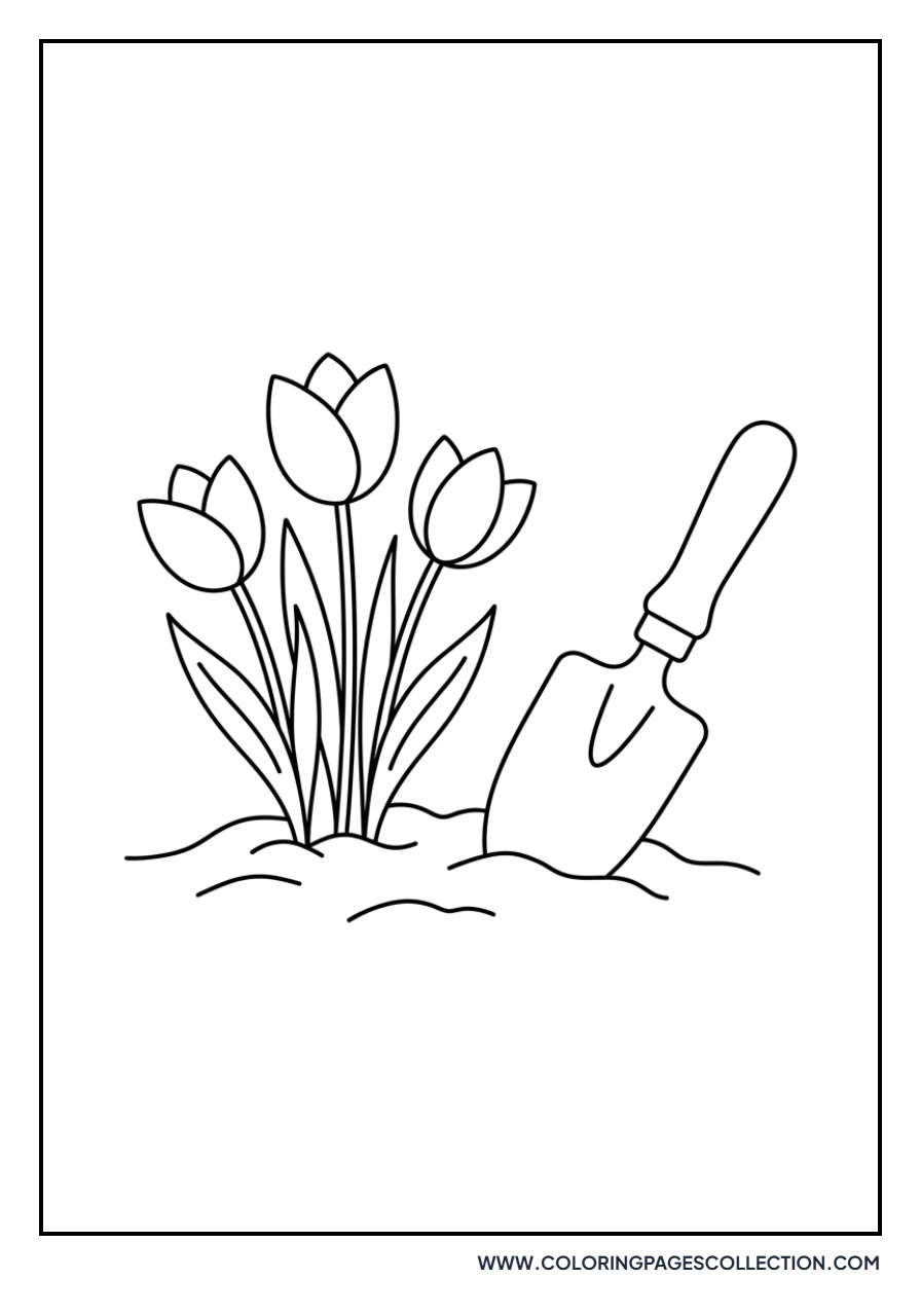 Tulips and a Garden Spade