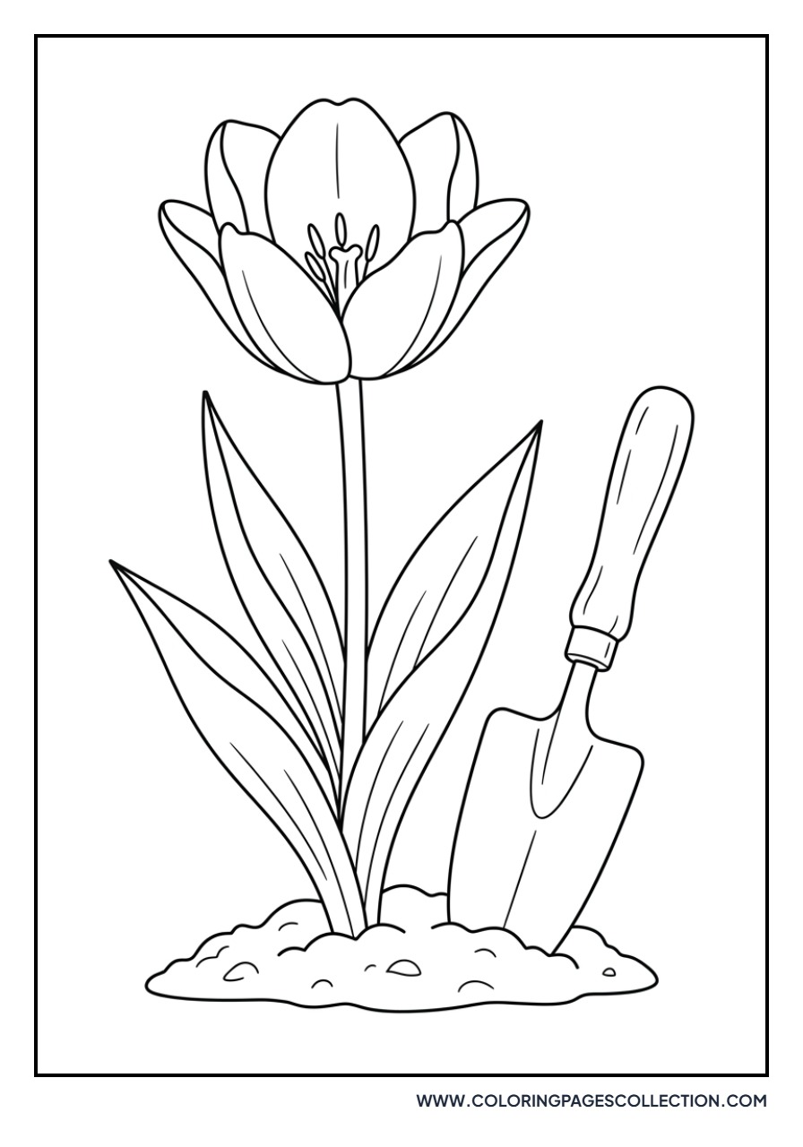 Tulips and a Garden Trowel