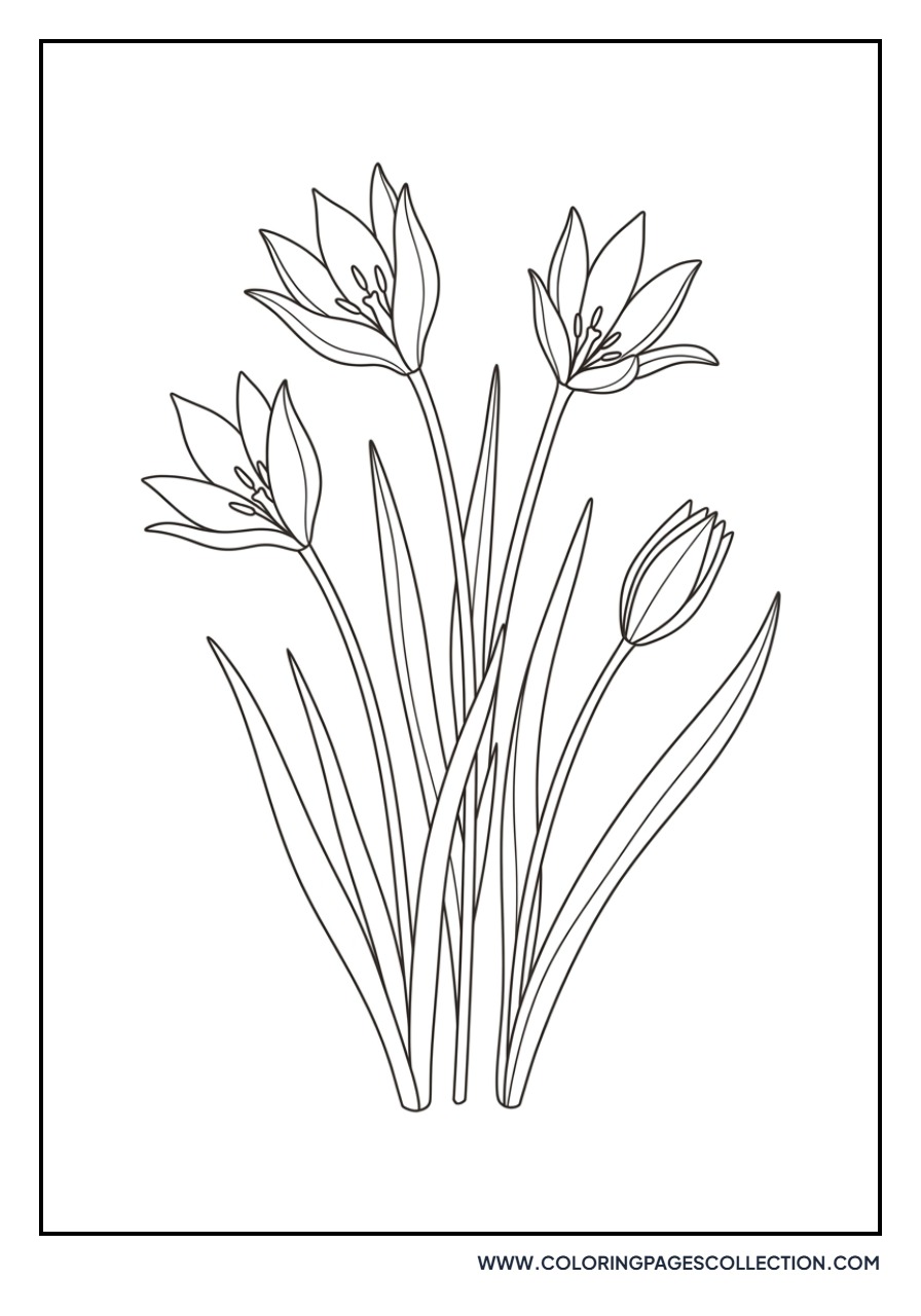 Wild Forest Tulips