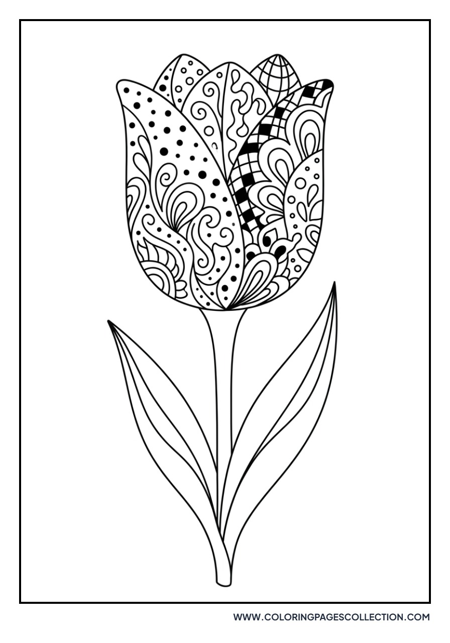 Zentangle Tulip Petals