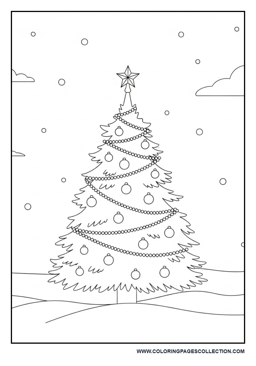 Christmas Tree Outdoors