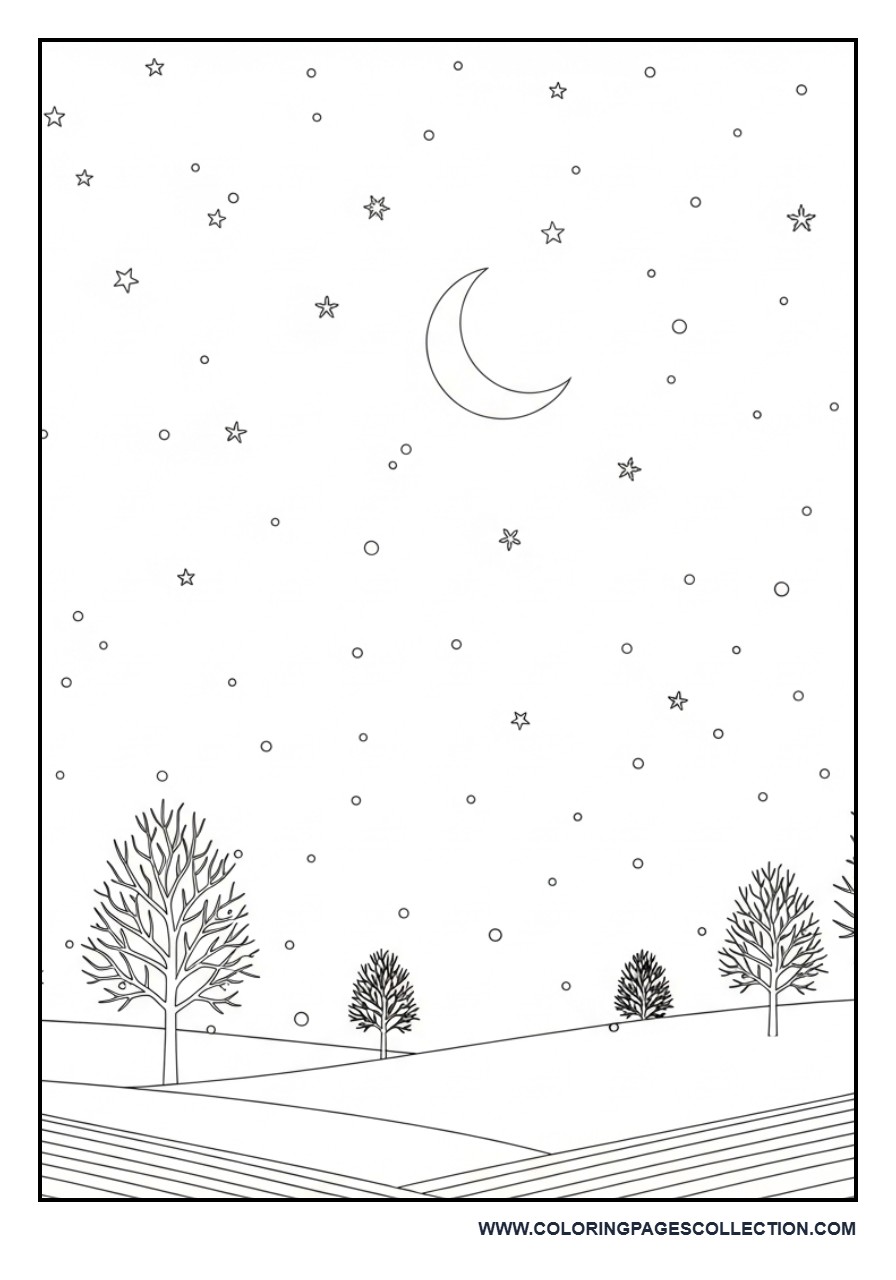 Winter Night Sky Scene