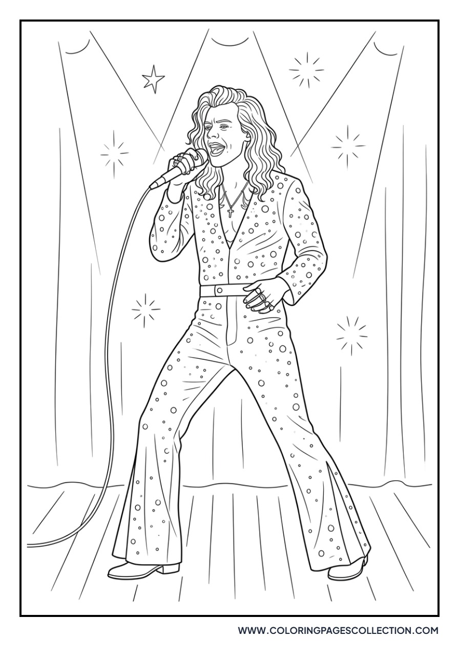 Harry Styles Sequin Jumpsuit