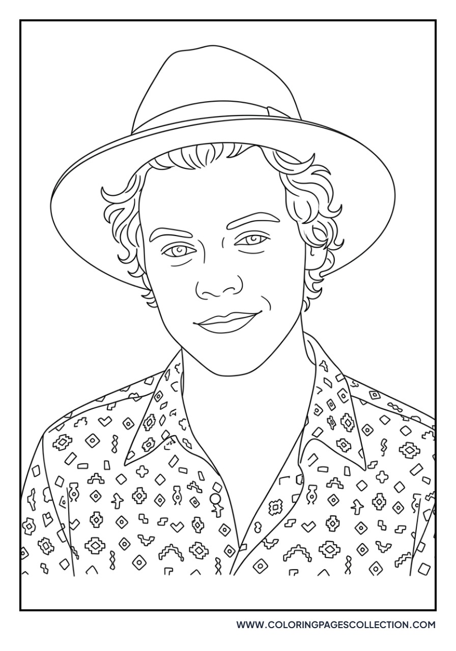 Harry Styles Wide Brim Hat